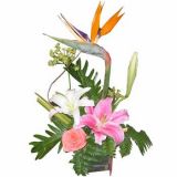 ʾʻٵ