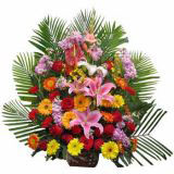ʾʻٵ