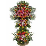 ʾʻٵ